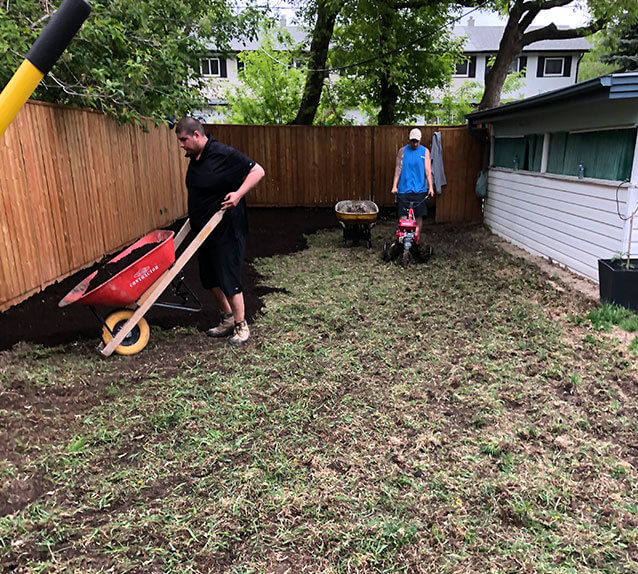 Yard Clean-Up